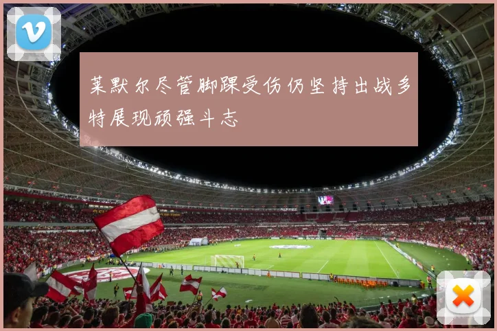 莱默尔尽管脚踝受伤仍坚持出战多特展现顽强斗志