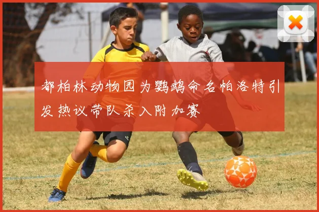 都柏林动物园为鹦鹉命名帕洛特引发热议带队杀入附加赛