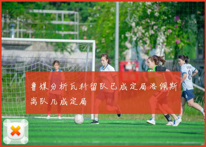 鲁媒分析瓦科留队已成定局洛佩斯离队几成定局